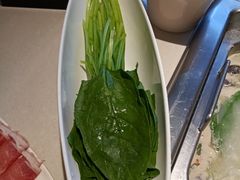 -海底捞火锅(泉城路店)