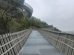 -福道