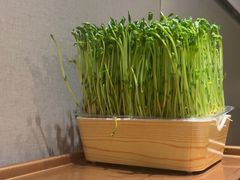 -海底捞火锅(方塔东街店)