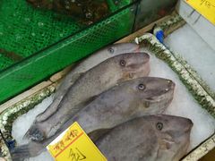 -鸿达渔港