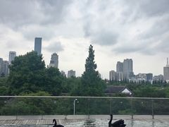 -行者书屋大堂吧 ·下午茶(南京圣和府邸酒店)