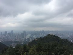 -南山植物园