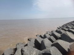 -南汇嘴观海公园