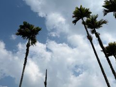 -海南槟榔谷黎苗文化旅游区