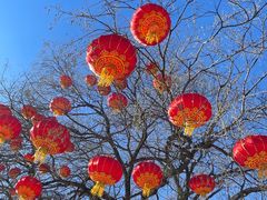 -八大处公园