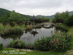 -石塘人家