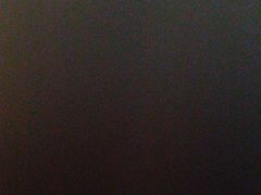 -东京包子楼(政七街店)