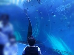 -哈尔滨波塞冬海底世界