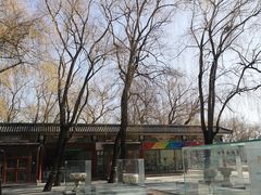 -圆明园停车场