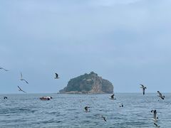 -棒棰岛宾馆景区