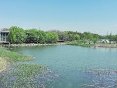-贡湖湾湿地公园