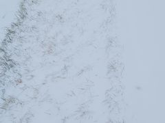 -北运河水利风景区