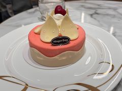 -哈根达斯(国瑞店)