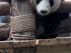 -武汉动物园