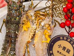 -喜聚薈·花膠雞海鮮火鍋(越秀店)