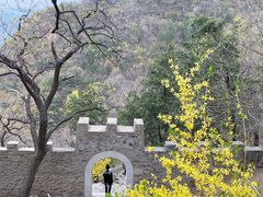 -北京鹫峰国家森林公园