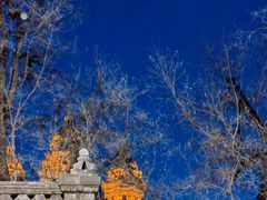 -王府井天主教堂