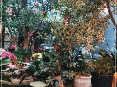 -海韵人家.海景花园经典云南菜(双廊店)