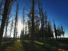 -呈贡滇池生态湿地公园