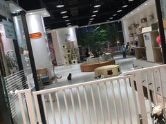 大堂-藏猫猫咖啡主题馆(中央大道店)