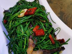 -塞伊德·蒙餐(锡林浩特店)