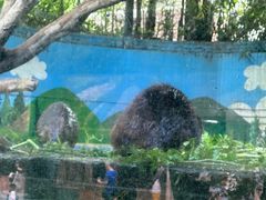 -广州长隆野生动物世界