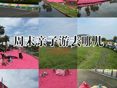 -苏州太湖西山岛开心农场