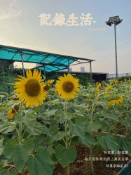 -可可天空农场(东部新城银泰店)