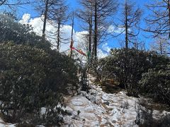 -亚拉雪山风景区