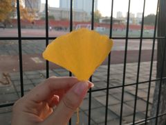 -辽宁大学(崇山校区)