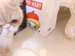 -泡泡玛特POPMART(赛格国际购物中心店)