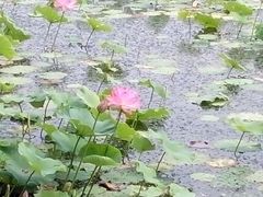android_upload_pic-北山公园