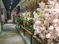 -紫霞门韩国料理烤肉(深南东路店)