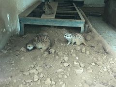 -西安秦岭野生动物园