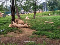 -秦皇岛野生动物园