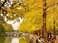 -成都市活水公园