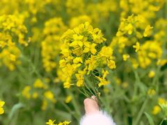 -狼山风景名胜区