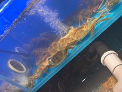 -苏格里岛自助烤肉海鲜火锅(成都金牛万达店)