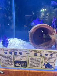 -Zoolung Zoolung动物主题公园(海信广场店)