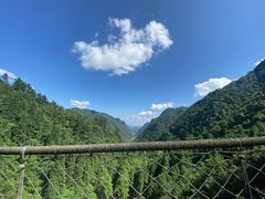 -娄山关景区
