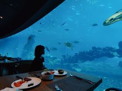 -海棠湾洲际-涛·海底餐厅·美人鱼·自助餐·海底隧道
