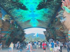 -帝企鹅自助餐厅•儿童岛•真企鹅(长隆企鹅酒店)