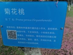 -堤角公园