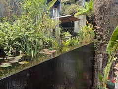 -肴约·花园式餐厅(湖里店)