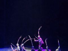 -水秀国际大剧院