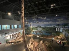 -自贡恐龙博物馆