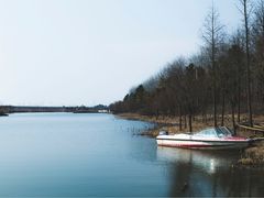 -合肥滨湖国家森林公园
