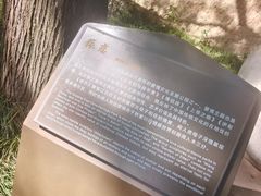 -西安曲江寒窑遗址公园