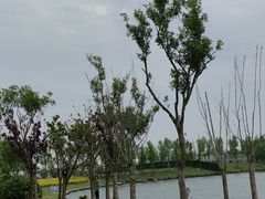 -滴水湖