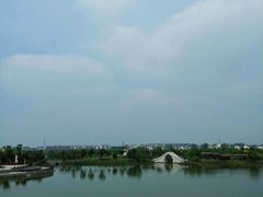 -金卉庄园